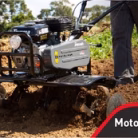 MOTOCULTIVADORES